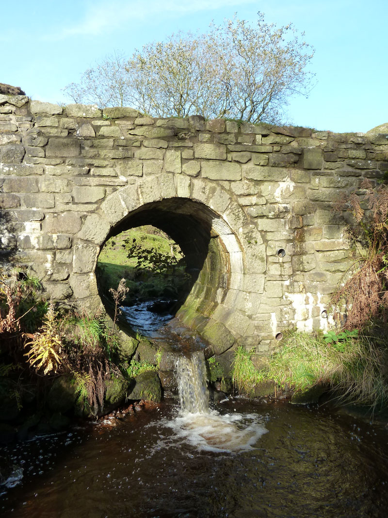 Pudsey Clough